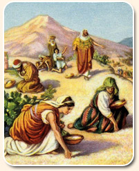 sabbath preparation - children of israel gathering manna