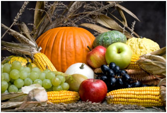 fall feasts - creator's bounty