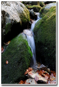 aliran gunung